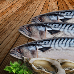 fish seafood pescados mariscos alimentos del mar